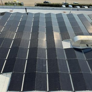 Plasticon Composites-4
